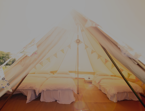 Bed and Mattress Dry Hire Rental with Hire Beds!