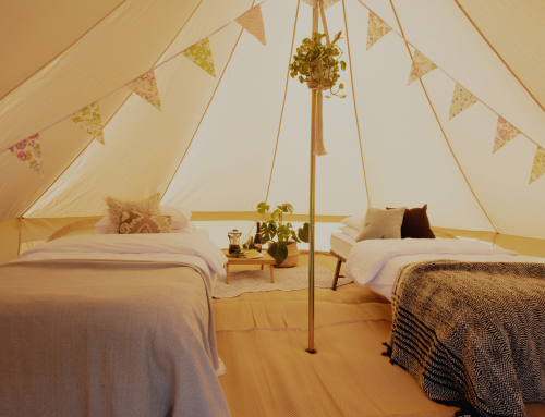 Last Minute Beds and Bedding? We’ve Got You Covered.